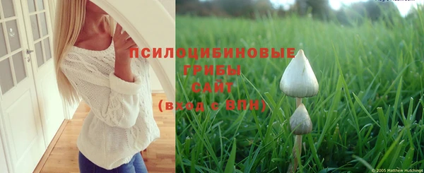 синтетический гашиш Алексеевка