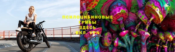 соль курить ск Алзамай