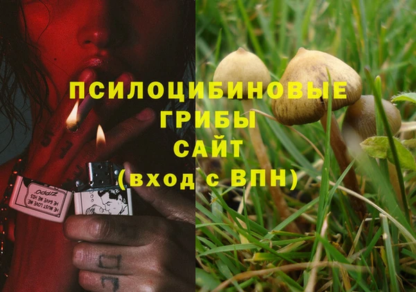 синтетический гашиш Алексеевка