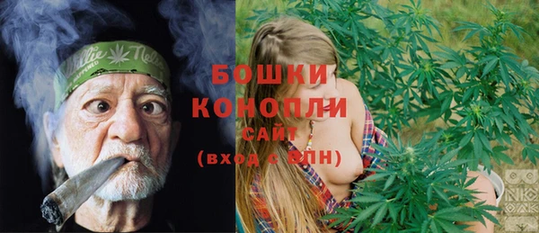 ГАЛЛЮЦИНОГЕННЫЕ ГРИБЫ Алексин
