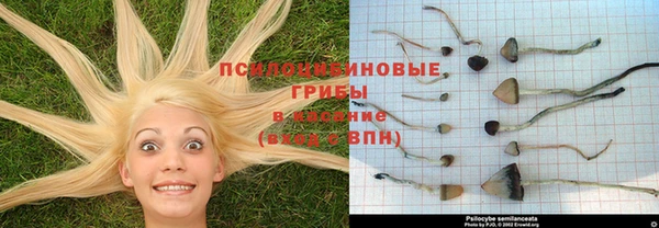 соль курить ск Алзамай