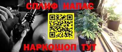 мяу мяу мука Кунгур