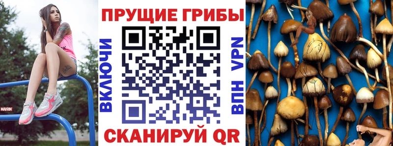 Галлюциногенные грибы GOLDEN TEACHER  Каменск-Уральский 