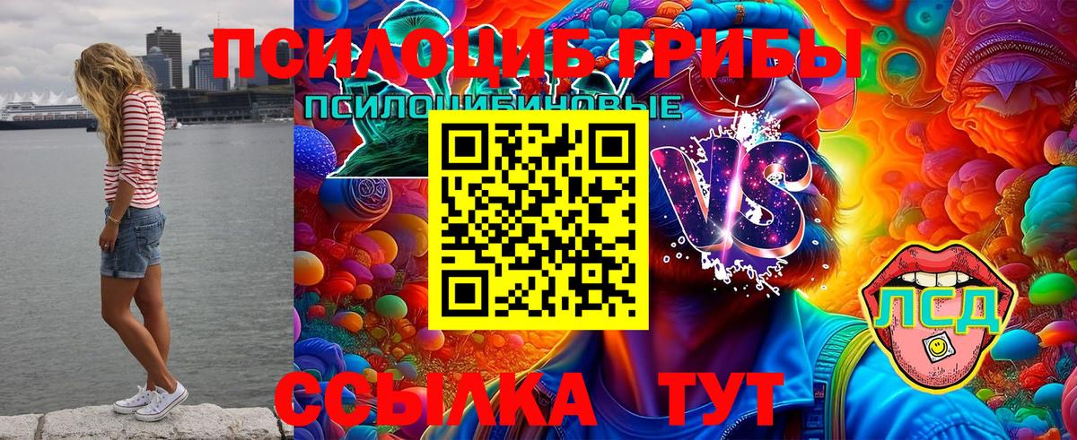 Галлюциногенные грибы Psilocybe Каменск-Уральский
